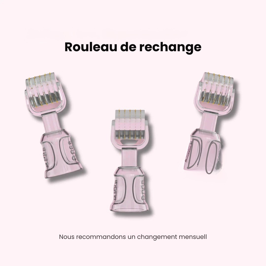 Rouleau de rechange